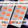Kamagra Oral Jelly Sildenafil 27